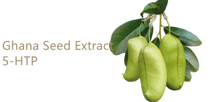 Griffonia Seed Extract Powder.png